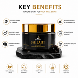 Biohima Pure Himalyan Shilajit | 100% Natural Resin